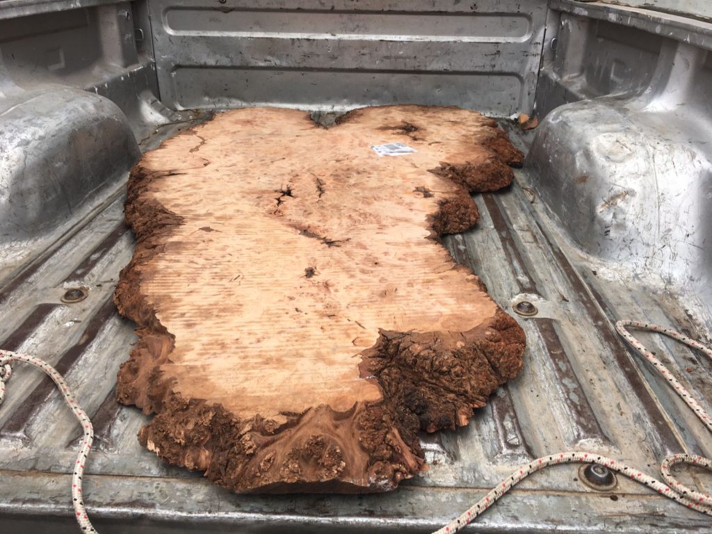Burl